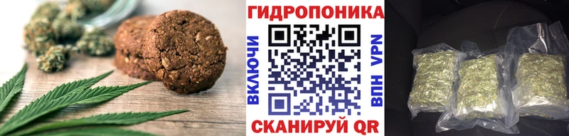 дарнет шоп  Заволжск  Cannafood конопля 