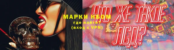 трава Гусев