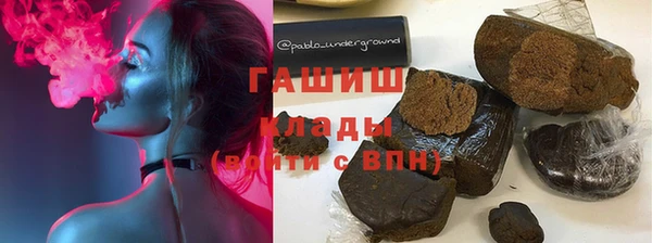 индика Гусиноозёрск