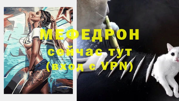 индика Гусиноозёрск