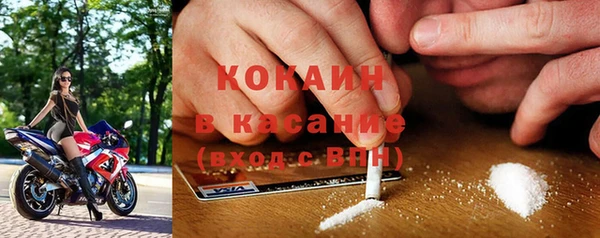 индика Гусиноозёрск