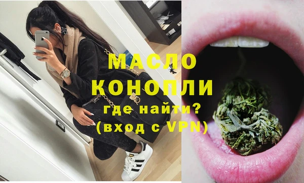 индика Гусиноозёрск