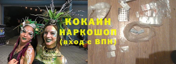индика Гусиноозёрск
