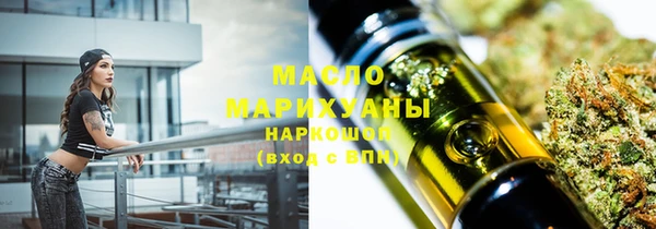 индика Гусиноозёрск
