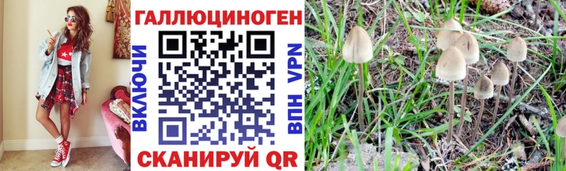 Галлюциногенные грибы Magic Shrooms  Заволжск 
